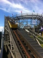 The Roller Coaster