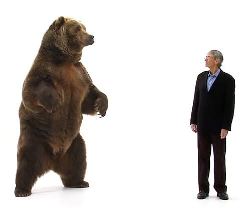 Grizzly Memories