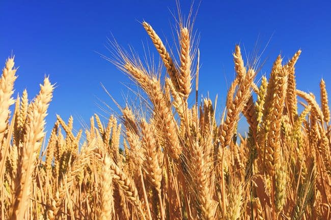 Agrium and PotashCorp: It ain't over till it's over