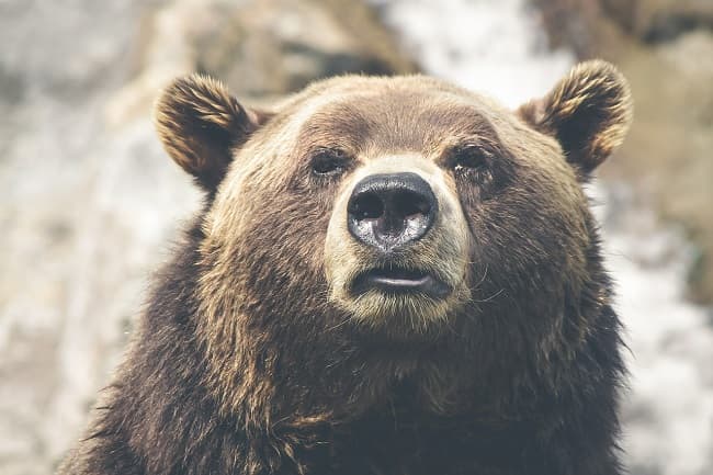 Everyone is scared and prices are down - and for long-term investors, it's a beautiful thing