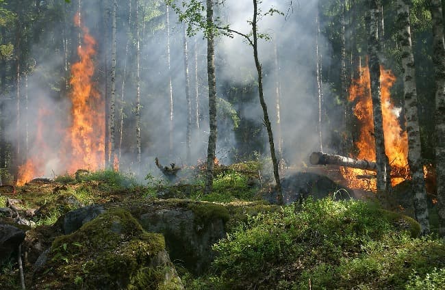 Fighting fire with fire