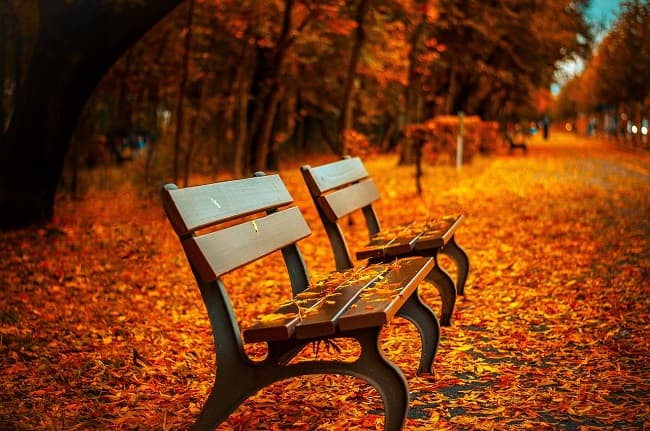 Lost perspective: Three things investors have taken too far