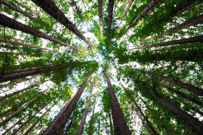 Sustainable Steadyhand Town Hall — October 15