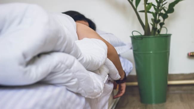 Why your Steadyhand portfolio is focused on sleep-at-night companies