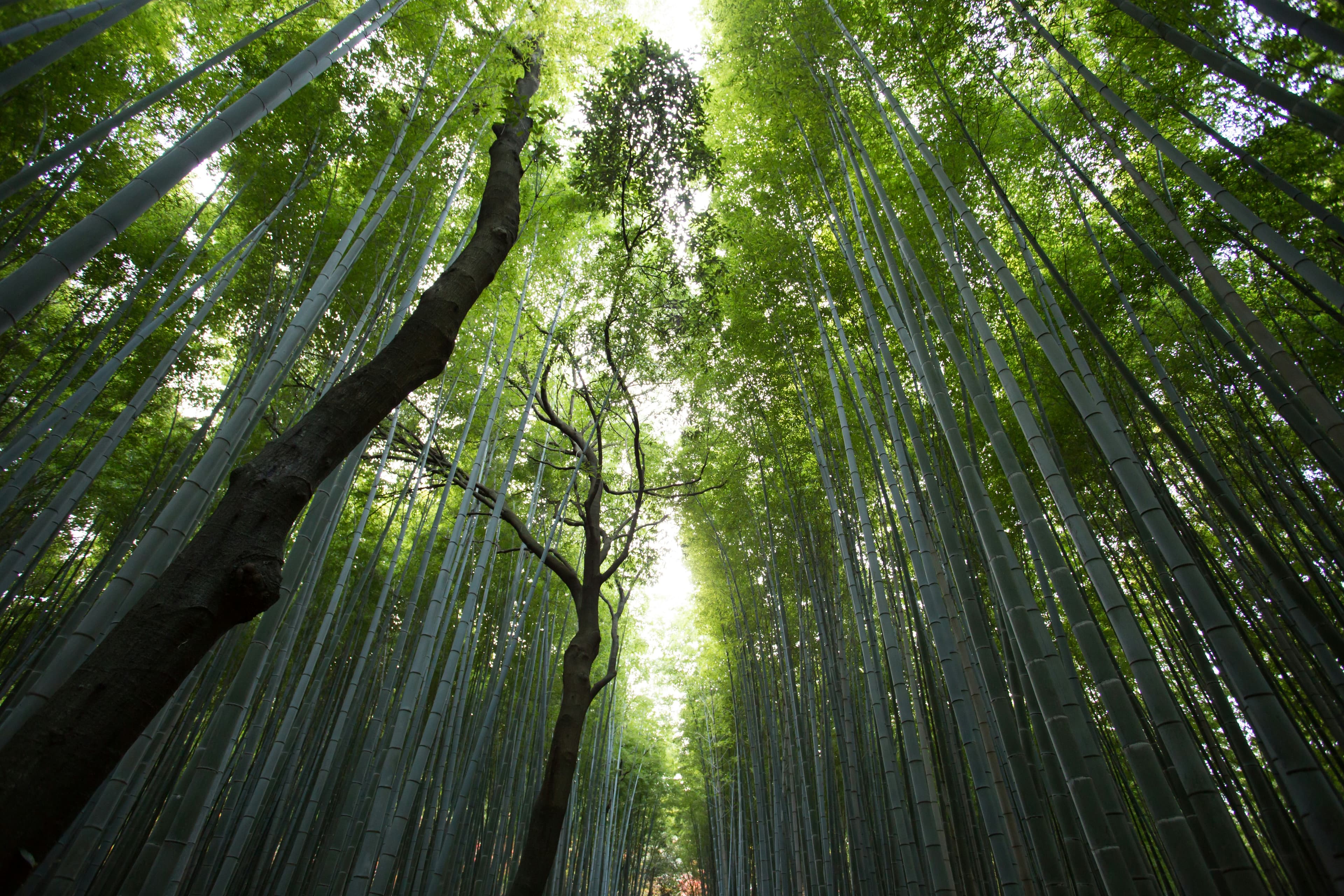 The real measure of good investing