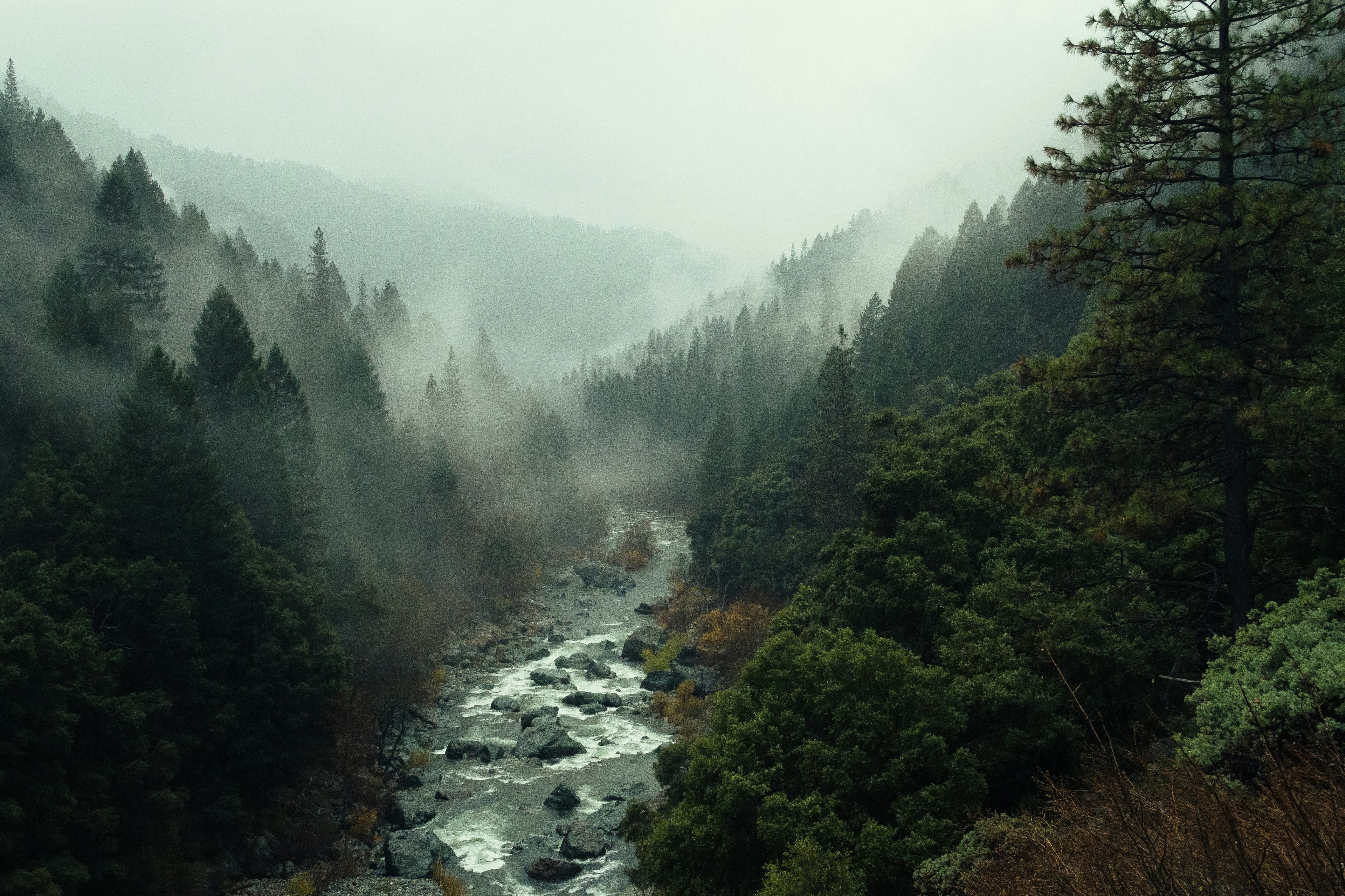 Navigating Uncertainty: Markets and Staying the Course