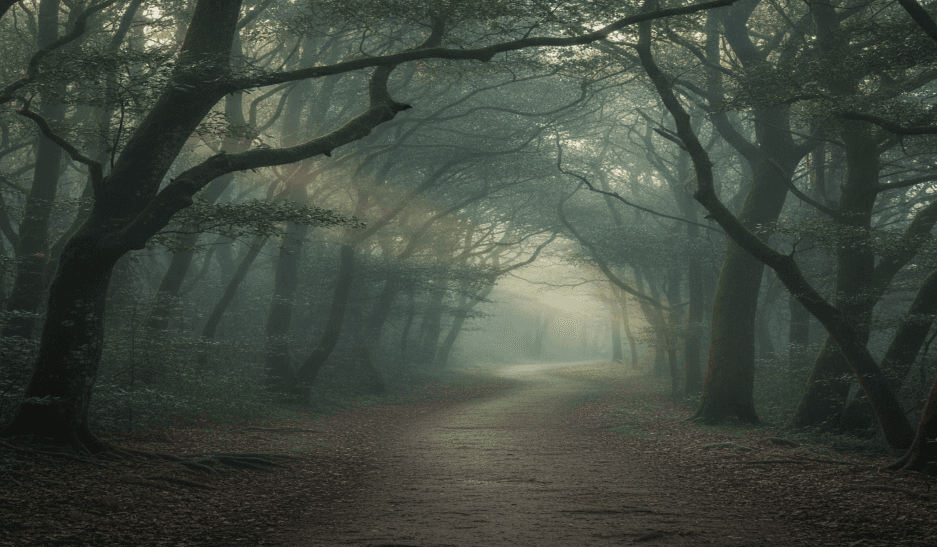 An investor's solution for never-ending uncertainty