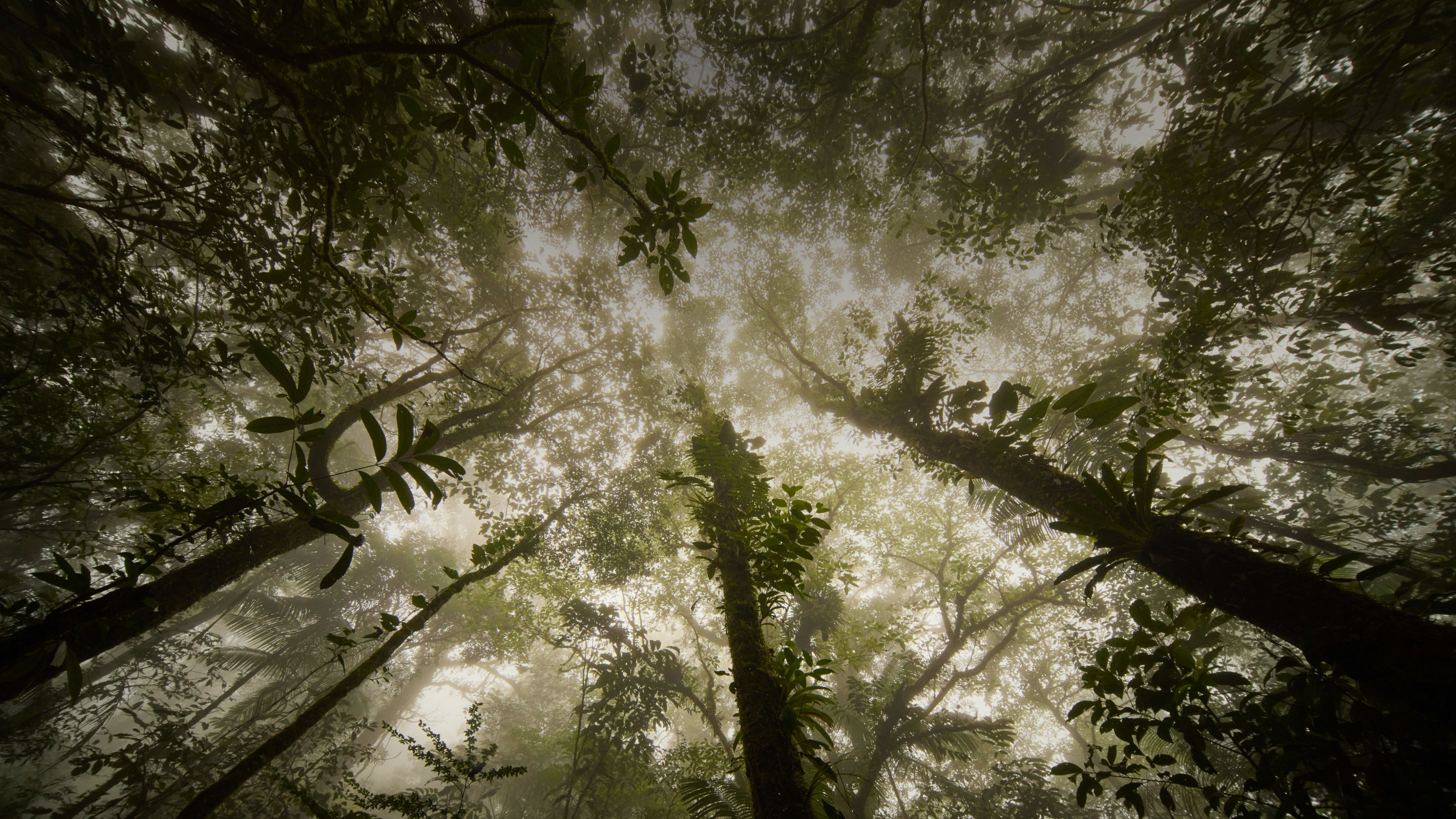 Portfolio of horrors: Beware these market monsters