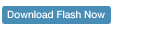 Download Flash Now